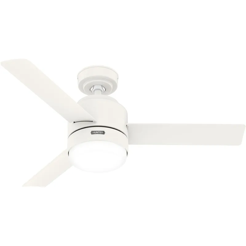 Gilmour Outdoor Ceiling Fan with Light Bargain
