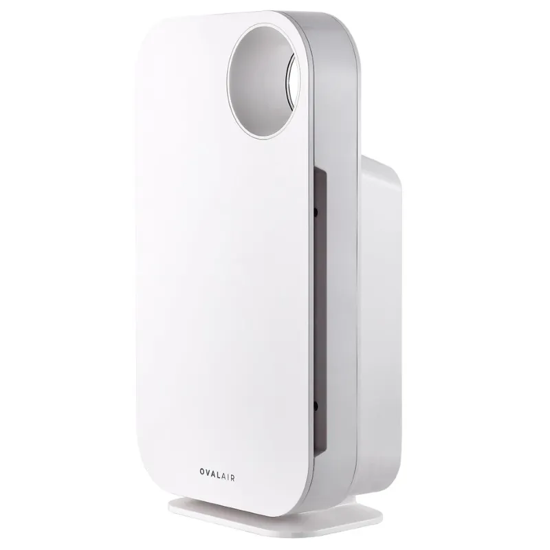 Bargain Oval Air Purifier