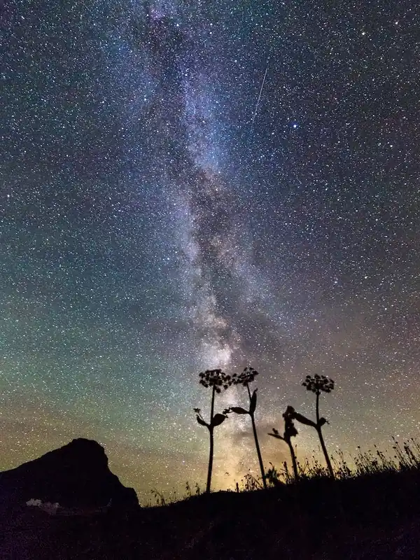 Secure Checkout The Milky Way From Montana