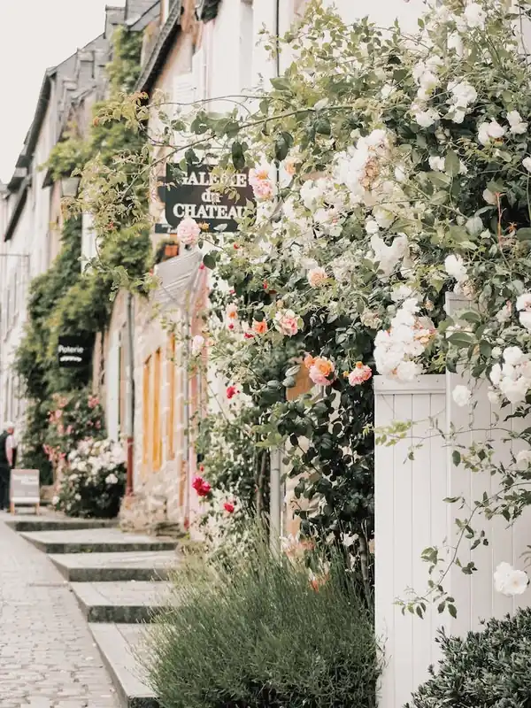 Time-Limited Rose Covered Street