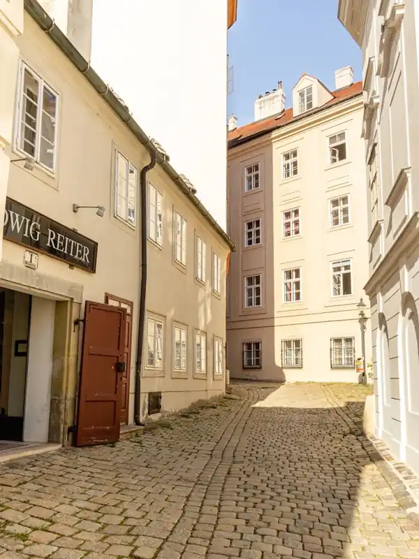 Clearance Cobblestone Street In Vienna