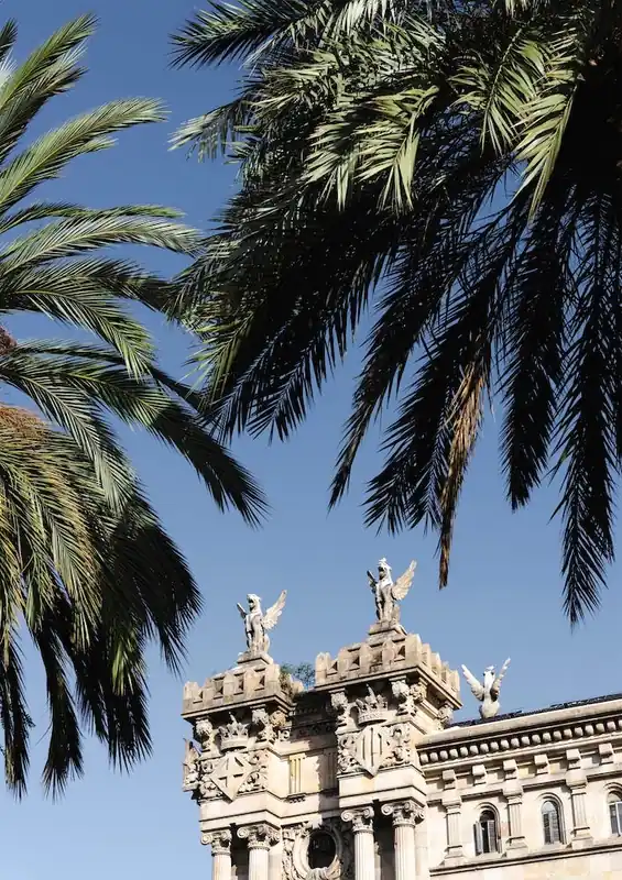 Green Palm Leaves On Barcelona Historical Building Best Price