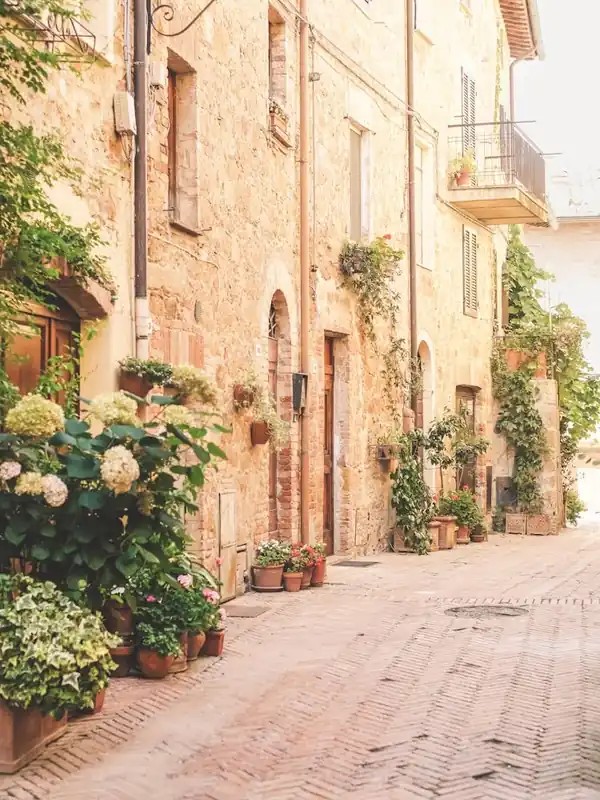 Tuscany, Italy I Blooming alley in Pienza village with plants flowers under pastel warm summer light rustic Italian street photography with Mediterranean countryside charm, floral beauty, la dolce vita New Arrival