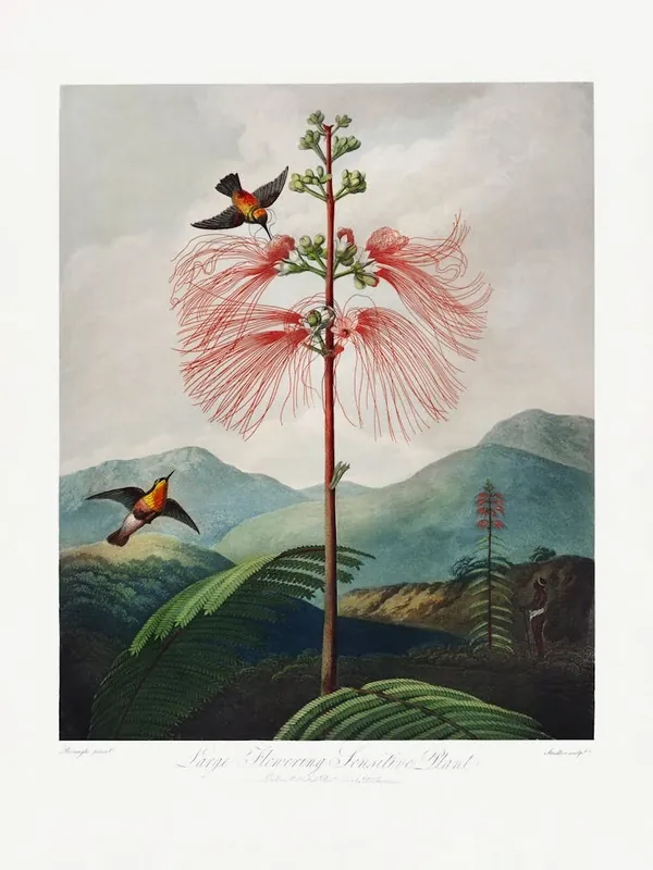 Buy Online Vintage Botanical Temple Of Flora _2476826