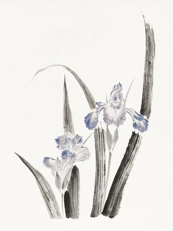 Japanese Iris Flower, Katsushika Hokusai Time-Limited