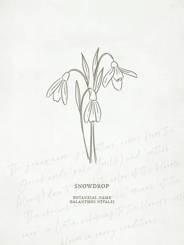 Free Returns Snowdrop Birth Flower | Antique