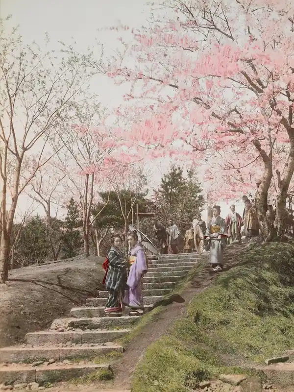 Vintage Japanese Photograph Cherry Blossom Warranty Included
