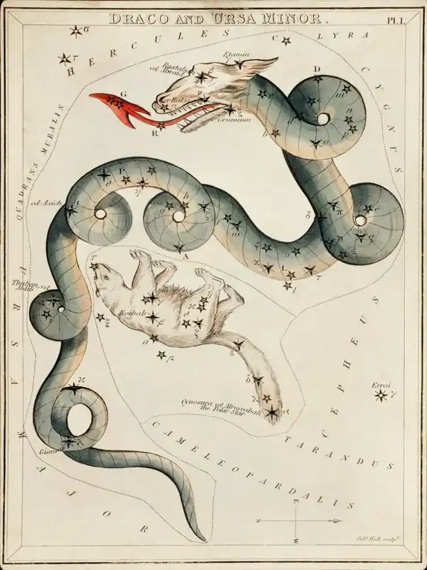 Top Pick Sidney Hall’s (1831), Astronomical Chart Illustration Of The Draco And The Ursa Minor