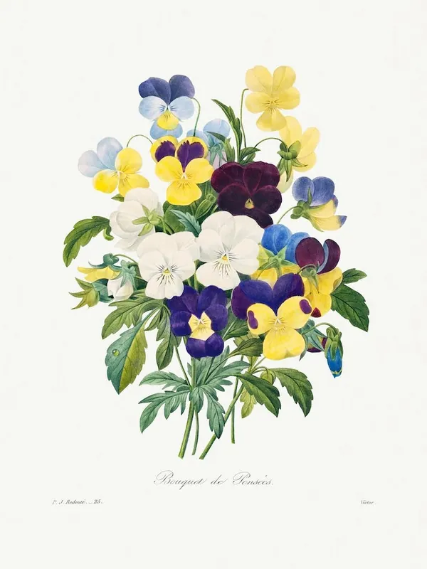 Pansy Bouquet, Pierre Joseph Redouté Flash Sale