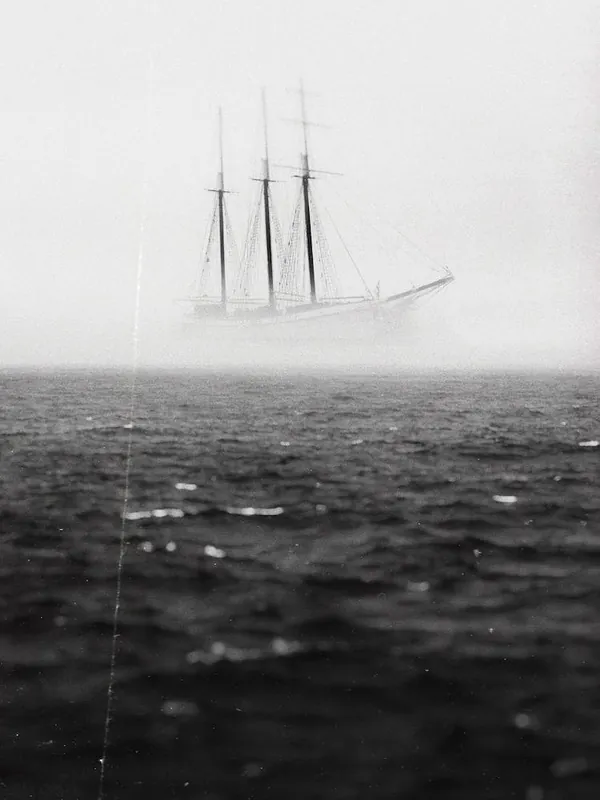 Last Chance Lost In A Fog